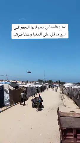 الراكب ب 10شيكل