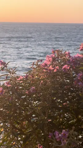 تعشمت بل ناس خير🖤