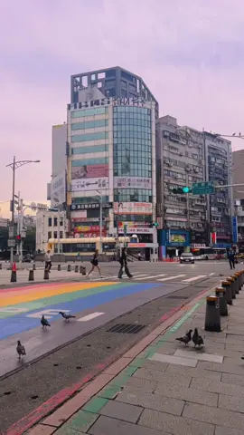 We left our hearts in Taiwan 🇹🇼🥹 #Taiwan #Taipei 