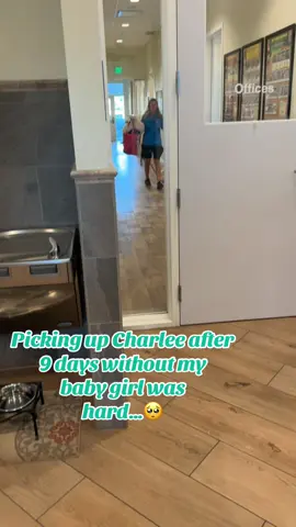 May never take a vacation without her again…🥹 #creatorsearchinsights #followers😘thanku🙏🙏❤❤❤ #dogmomsoftiktok #fyp #dogtiktok #puppiesoftiktok #maltipoosoftiktok #puppytok #puppytiktok #maltipoo #dogsoftiktok #viraltiktok #makemefamous #dogmoms #cutestpuppy #famous #myeverything #massfollowing #missedher #mylove 