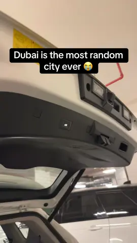 Dubai money just hits differently (ig: carsareallido)