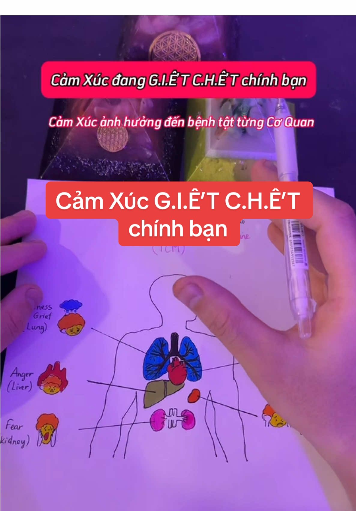 Trong Y Học Cổ Truyền Trung Quốc (TMC) đề cập 5 loại cảm xúc cơ bản  ảnh hưởng sâu đến 5 tạng (gan, tâm, tỳ, phế, thận) 1. Giận dữ – Ảnh hưởng đến Gan (Liver) 2. Vui mừng – Ảnh hưởng đến Tâm (Heart) 3. Lo nghĩ – Ảnh hưởng đến Tỳ (Spleen) 4. Ưu sầu (Buồn) – Ảnh hưởng đến Phế (Lung) 5. Sợ hãi – Ảnh hưởng đến Thận Nếu bạn muốn chữa được những bệnh tật và những cảm xúc này, hãy đăng ký khoá thiền Ban Phước Luân Xa do chính Thầy Lạc giảng dạy  #thaylacthien #bacsilac #bacsilacthien #thaylac #thien #phatphap #roiloanloau #tramcam 