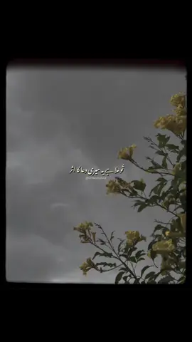 Tu mera mehboob hai jaanan!🤍 - Slowed Reverb | Without Music | Vocals | Status | Lyrics  - #donotunderreview #poetry #urdupoetry #urdushayari #urduaesthetics #poetryaesthetics #sadpoetry #sadshayari #shayari #punjabi #punjabisongs #fyp #foryou #foryoupage #viral #trending #withoutmusic #vocalsonly #aesthetic #fypシ #fypシ゚viral #status #broken #lovesongs  #bollywood #bollywoodsong #couple #couplegoals #fyppppppppppppppppppppppp #coupleaesthetic #unfreezemyaccount #views #growmyaccount 