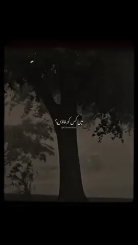 Sahiba 🥀 - Slowed Reverb | Without Music | Vocals | Status | Lyrics  - #donotunderreview #poetry #urdupoetry #urdushayari #urduaesthetics #poetryaesthetics #sadpoetry #sadshayari #shayari #punjabi #punjabisongs #fyp #foryou #foryoupage #viral #trending #withoutmusic #vocalsonly #aesthetic #fypシ #fypシ゚viral #status #broken #lovesongs  #bollywood #bollywoodsong #couple #couplegoals #fyppppppppppppppppppppppp #coupleaesthetic #unfreezemyaccount #views #growmyaccount 