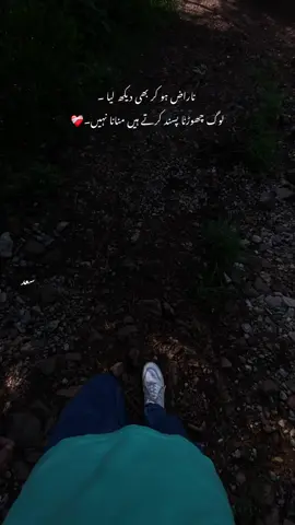 وگ چھوڑنا پسند کرتے ہیں منانا نہیں۔❤️‍🩹🕊️🤌🏻