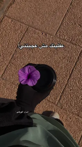 #نغازي_ليبيا🇱🇾 #السلفية_منهجنا #السلفية_الفهم_الصحيح_للكتاب_والسنة #سلفية #اكسبلور 
