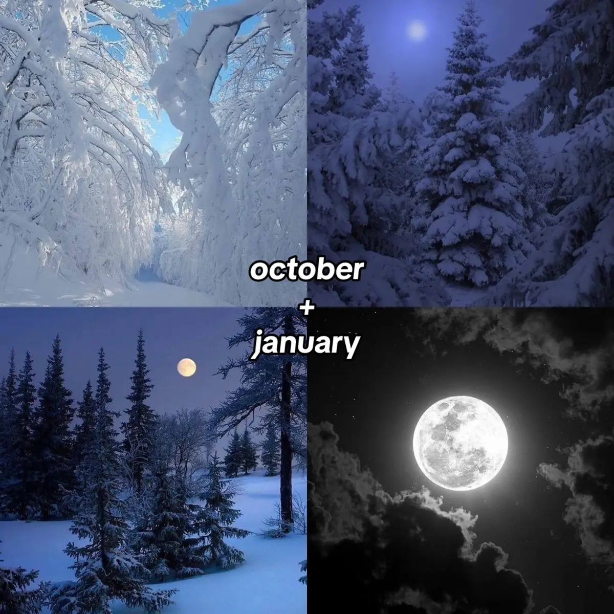 #october #nature #combo #fyp #yourmonth #yourmonthyourthing #duo 