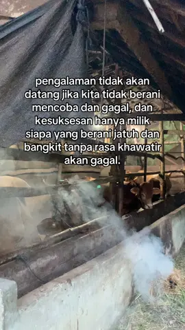 #foryou #garasikftb #storypeternaksapi #masukberanda #storypeternaksapi 