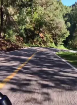 Vivir nuestro camino es aceptar que no siempre va haber caminos tranquilos, que siempre habrá curvas, baches, sol, sombra y a pesar de pasar por todo siempre debemos admirar el paisaje de nuestro camino. 