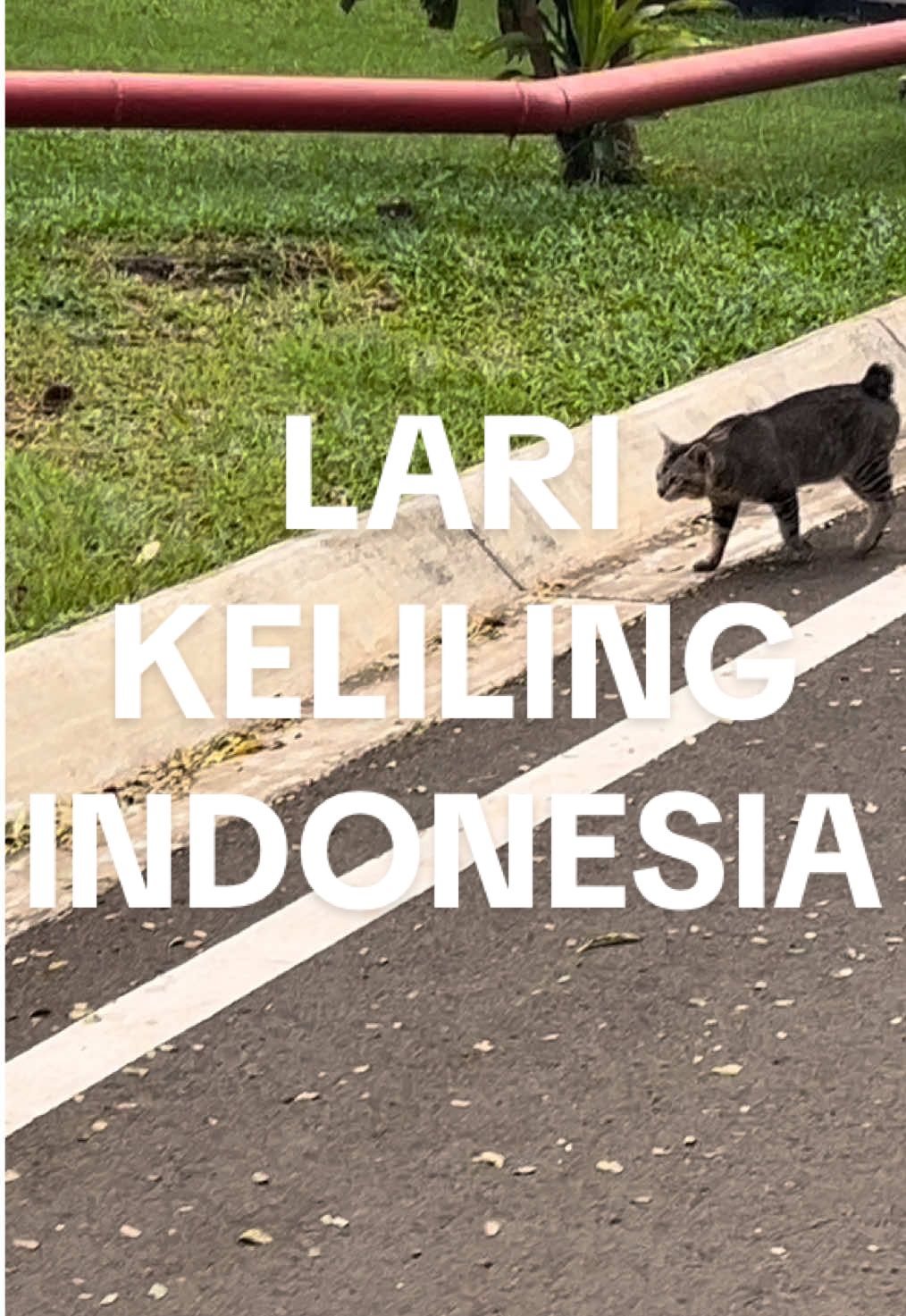 ternyata ga secape itu keliling indonesia 👍 #run #jakarta #tmii 