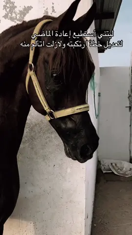 #خيل_وخياله🐎 #خيل_وخياله🐎🖤ماشاءالله_اللهم_بارك🧿♥️ #خيل_عربي #اقتباسات_عبارات_خواطر🖤🦋❤️ #تصميم_فيديوهات🎶🎤🎬 #تصميم_فيديوهات🎶🎤🎬 #اكسبلورexplore #اقتباسات #fyp #تصميمي❤️ #هاشتاقات_تيك_توك_العرب #تيك_توك_اطول #ترندات_تيك_توك #مليون_مشاهدة❤ #ستوريات #viral #هاشتاك #تيكتوك_عرب #خيل 