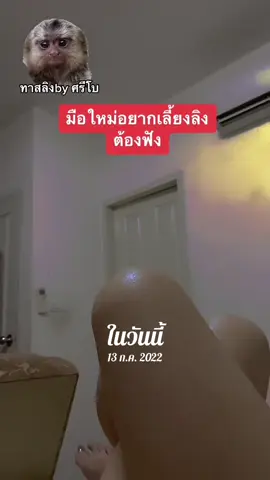 #วันนี้ในอดีต 