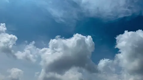 জীবনে এত আফসোস নয়, যা ছিল না সেটা ছেড়ে যা আছে তাই নিয়েই এগিয়ে চলা উচিত ⋆࿐🥲💔 #প্রকৃতি #blue #sky #tree #fyp #fypシ #fypシ゚viralシ #emotional #unfrezzmyaccount #tiktok #shorts #song #weather #views #reels #nature #natural #scenery #foryou #trending #viral #sad #viralvideo #sunset #akash #NaYaN #NaYaN56 @TikTok @tiktok creators @TikTok Bangladesh 