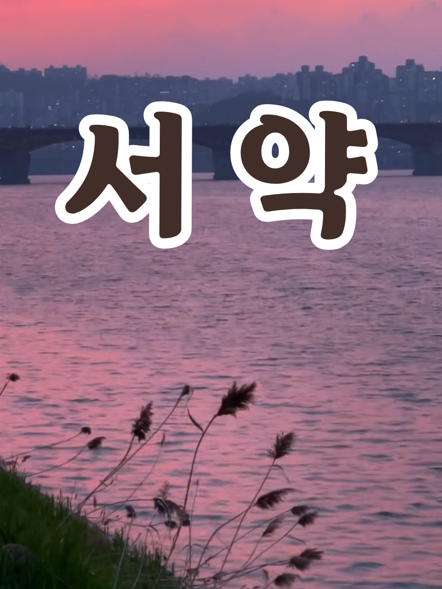알리의 애절함 #서약 #알리_서약 #애절한노래 #애절함 #좋은노래 #좋아하는노래 #노래추천 #goodsong #케이팝 #korea #koreansong #kpop #fyp #foryou # #힘들면말해 #citysunset #lovesong #사랑노래 #감성보컬 #한강노을 #promise 