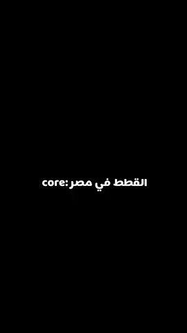 #القطط_في_مصر#القط_صاوي_vs_جمعة #مشاهدات #متابعين #core #foryou #viralvideo #foryou #fyppppppppppppppppppppppp 