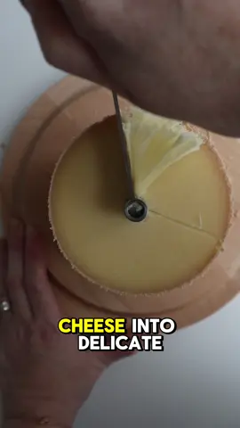You don’t slice this cheese. You sculpt it into edible flowers… And yes, I serve it in a martini glass with cherries 🍒🧀 Because cheese deserves main character energy. #cheesetok#CheeseTok#têtedemoine#TêteDeMoine #cheeseart#CheeseArtdemetryit #foodieaesthetic #morgancheeses  #cheeseboardgoals#CheeseboardGoalsePorn #behindTheCounter#BehindTheCounterdibleFlowers #CapCut 