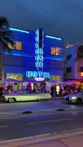 Miami Nights are the Best 🌃 // #scarface #miamibeach 
