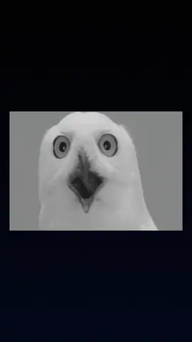 الأبراج