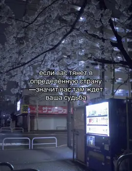 #fyp #japan 