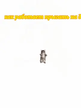 высокоинтеллектуальное видео🤤🤤✌️✌️✌️Смотри в MAX! Знаешь, что! Это было моё самое хорошее качество в мире!!! MAX улучшил качество фото, пока я его отправлял! А видео скинулось другу за 1 секунду! Сохранив качество! Я просто в шоке с этого приложения!#скачать #приложение #топовое #MAX #коты поясняют