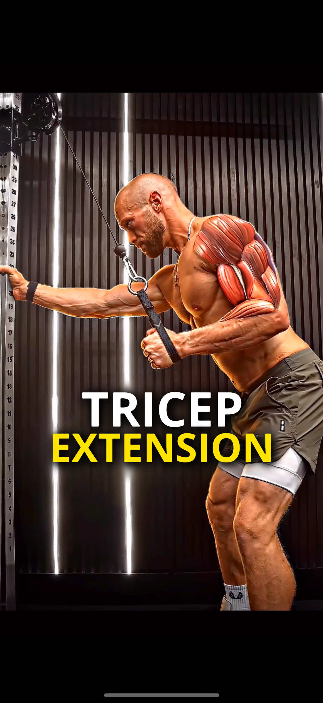 The Single Arm Tricep Extension 🔥 save this now for reference later — it will help you + Share! The single arm cable Tricep extension is excellent for training all 3 heads of the triceps brachii - particularly the long head due to the arm being held down at your side (and even MORE SO when the middle of the range of motion is the most difficult - hence the 90° angle at mid-range) 𝗧𝗿𝗮𝗶𝗻 𝘄𝗶𝘁𝗵 𝗺𝗲 𝗼𝗻 𝗺𝘆 𝗔𝗽𝗽 📲 𝟳-𝗗𝗮𝘆𝘀 𝗙𝗿𝗲𝗲 | 𝗟𝗶𝗻𝗸 𝗶𝗻 𝗕𝗶𝗼 𝗚𝗲𝘁 𝗺𝘆 𝗖𝗼𝗼𝗸𝗯𝗼𝗼𝗸 𝟱𝟬% 𝗡𝗢𝗪! 🍔 𝗟𝗶𝗻𝗸 𝗶𝗻 𝗕𝗶𝗼 ••• 𝗢𝘂𝘁𝗳𝗶𝘁 𝗯𝘆 𝗔𝗦𝗥𝗩 | @ASRV  ••• #triceps #armworkout #bodybuilding #bodybuildingtips #rysesupps #bodybuildingmotivation #gym #Fitness