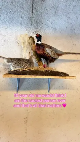 living my dreams 🩷🫶🏻 #foryoupage #michigan #taxidermy #femaletaxidermist #dreamlife
