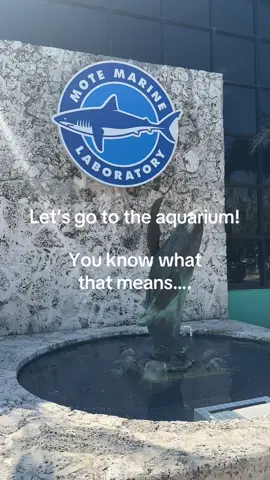 The aquarium closed because they’re moving and I’m so sad 😭 #motemarinelab #florida #aquarium 