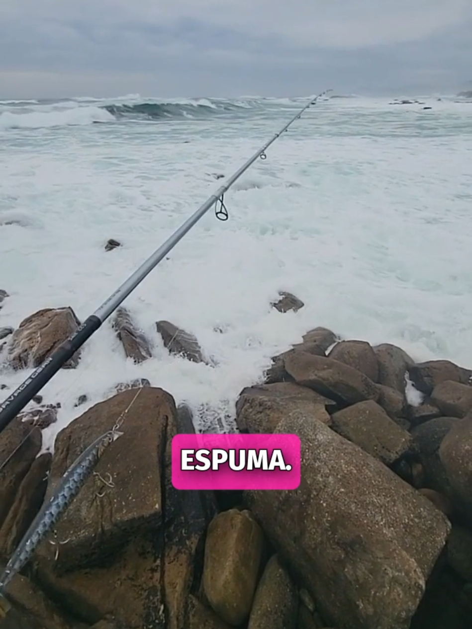 👉Es esta una buena zona de Pesca Spinning❓️ ⬇️⬇️DALE A SEGUIR, es Gratis⬇️⬇️ #pesca #fishing #saltwater #saltwaterfishing #pescafishing #fishinglive #fishinglife 