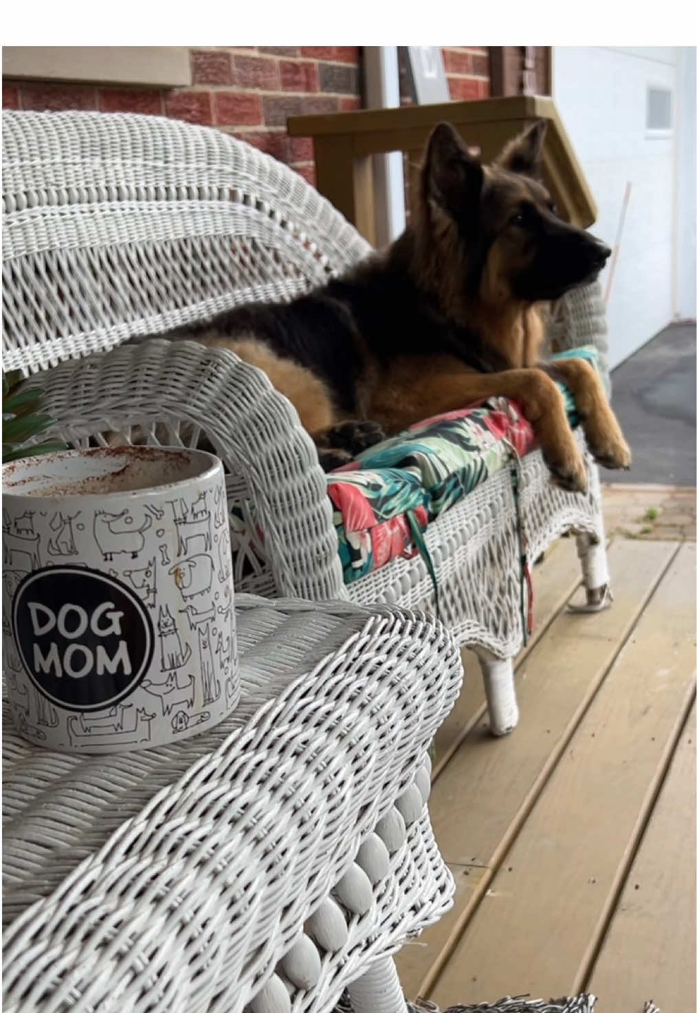 Rainy morning… but still perfect out to chill & read 📖 #dogmom 