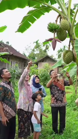 pisang ajaib #faktaunik #faktadunia 