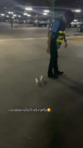โตมาอย่างสมบูรณ์😁##เปิดการมองเห็น##ขี้นฟีดด้วยเถอะ##ทาสแมว##แมวน่ารัก