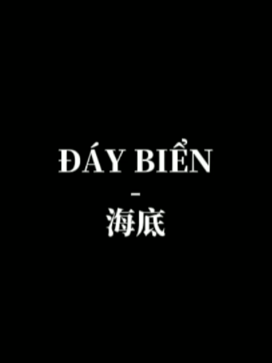 Song Name : ĐÁY BIỂN / 海底 #daybien #海底 #douyin  #pandaa_1508 