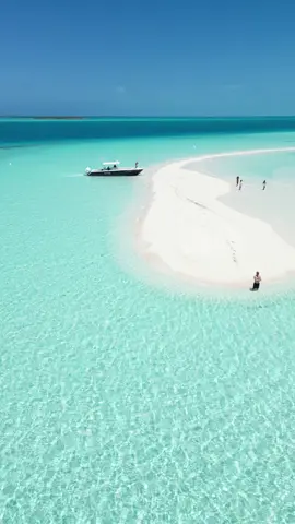 GPS location: Random Sandbar in The Bahamas  . . . . . . . . #bahamastiktok🇧🇸 #bahamas #exuma #sandbar #bahamar #fyp #paradiseisland #reeltherapy242 #fishing #crystalwaters #explorepage✨ #rosewood #atlantis 