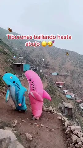 Tiburones bailando hasta abajo 😅🤣🦈
