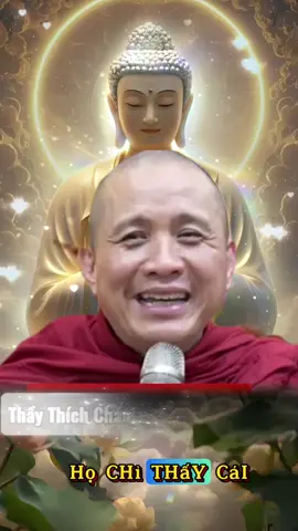 #phatphaptaitam #phatphapnhiemmau #phatphap #thichchanhdinh 