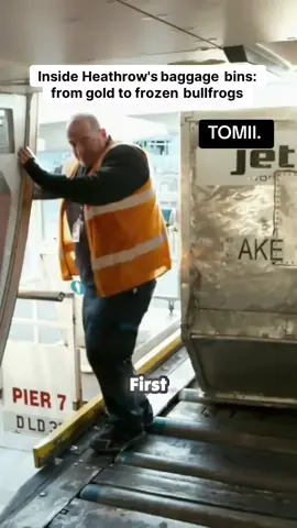 Inside Heathrow's baggage bins: from gold to frozen bullfrogs
