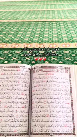🌿 اخترت أن أبدأ من قلبي.. فكان القرآن البداية 🌙 من هنا بدأت رحلتي، وبإذن الله ما راح أتوقف 🤍 #القرآن_حياتي #حفظ_القرآن #بداية_جديدة 
