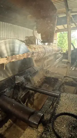 Sawmilling some beautiful 20-foot southern yellow pine logs into custom 3x8s. Love seeing that fresh grain come to life on the mill! Perfect lumber for strong beams and rustic projects. ⸻ Hashtags: #Sawmill #Woodworking #CustomLumber #SouthernYellowPine #MillLife #SawmillLife #Woodgrain #Lumber #WoodworkersOfTikTok #Timber #Sawmilling #Carpentry #RoughCut #WoodProcessing #DIYWoodworking