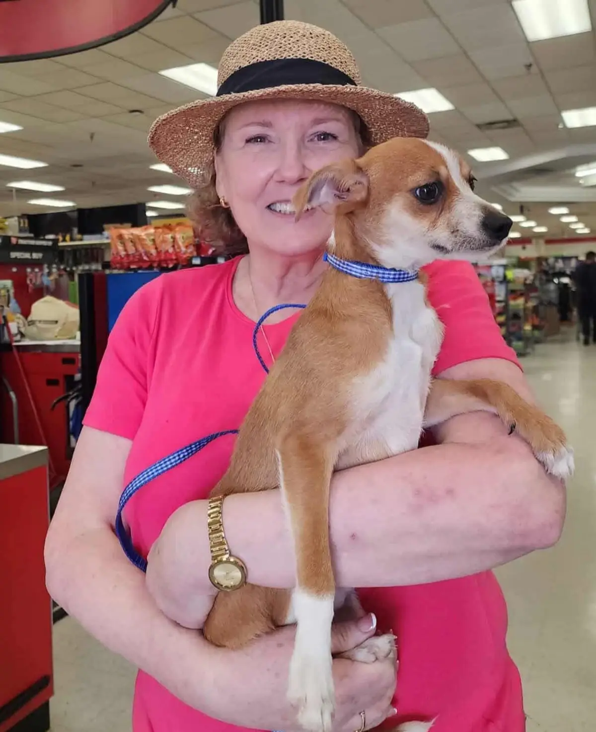 We have rocked adoptions lately and we are feeling blessed!  Lots of our animals have found amazing homes. Our puppy palooza event this past Saturday, 7-12-25 was a huge success. 