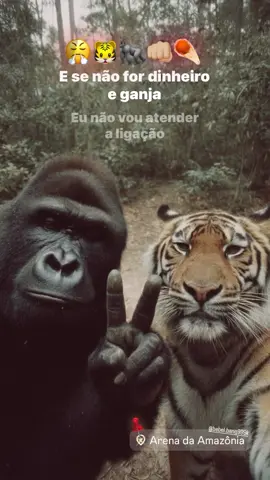 Rlk paizão gugu🫡😤 #tipografiaparastatus #foryoupage #fyppppppppppppppppppppppp 