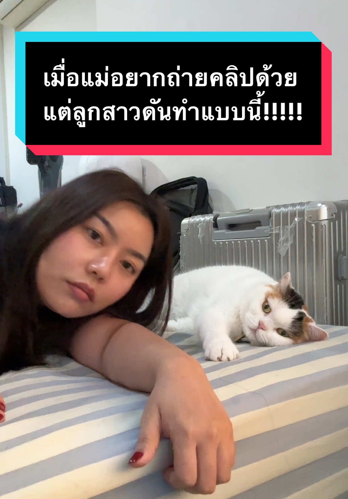 แล้วรู้ตัวไวมั่ก!!! 💨 😤 #มูมินแมวเหนียง #มู้ดดี้แมวแสบ #แมว #แมวน่ารัก #แมวตลก #สวนสัตว์tiktok #cat #catoftiktok 