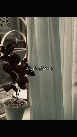 #CapCut #explore #e #fypシ #f #fyp #foryou #fy #fypシ゚viral #viral #مالي_خلق_احط_هاشتاقات #شعب_الصيني_ماله_حل #شعر 