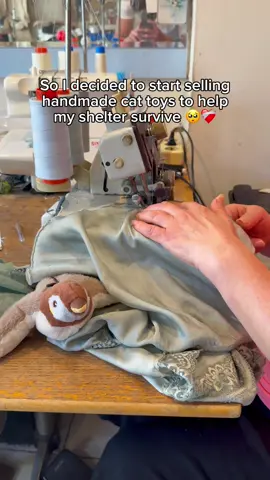Hope I made you laugh, if you could share the video it would mean a lot 🙏🏻❤️ #catliver