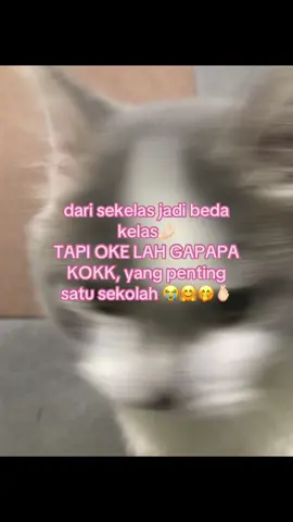 🤗🤗 #crush #mengagumi #fyp #4u #xybca #masukberanda #foryou 