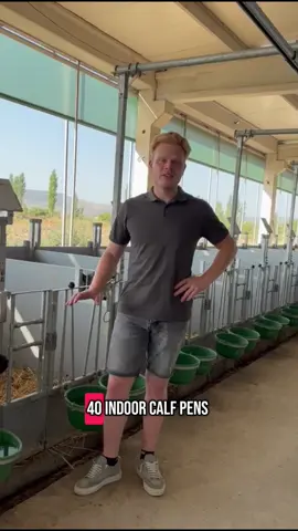 🐮 Topcalf Calf Pen ✅ Modular & space-saving ✅ Create groups easily ✅ 100 or 120 cm wide – mix & match lengths! #Topcalf #CalfPen #DairyFarm #CalfHousing #FarmGear #LivestockLife #ModularDesign #FarmTok