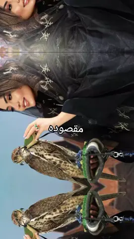#مجرد_ذووقツ🖤🎼 