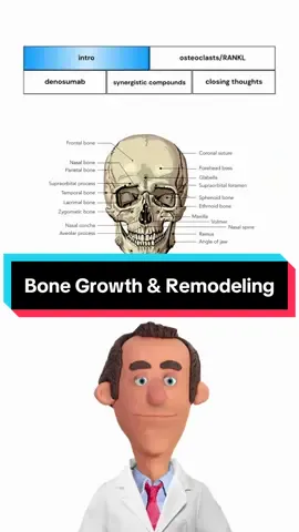 Best way to grow bones?  #biology #biohacking #bones #jaw 