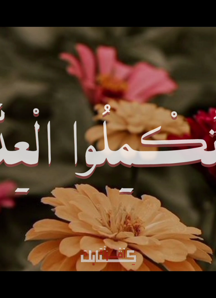 يُرِيدُ اللهُ بِكُمُ الْيُسْرَ وَلَا يُرِيدُ بِكُمُ الْعُسْرَ 🤍🤍🤍 .  .  .  #قران #quran #الطبلاوي #سورة_البقرة  #قران_كريم #تلاوة_خاشعة #quran_alkarim 
