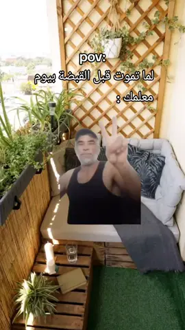 في منو 😂 #تعمري #آبَوُ_محٍمدِ #الشعب_الفلسطيني_ماله_حل😂😂😭💔 #تعمري_501_يخال🤚😎 #القدس 