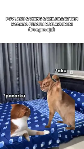 ih kadang greget banget ama pacar sendiri dah...  .  .  .  NGINEP MURAH DI APARTEMEN MEWAH DEKAT ITC DEPOK! Butuh tempat menginap nyaman dan strategis di Depok? Apartemen Saladin Manson adalah jawabannya! ️ HARGA SEWA TERJANGKAU: Weekday (Senin-Kamis): 3 Jam: Rp120.000 4 Jam: Rp150.000 5 Jam: Rp165.000 Halfday/Midnight : Rp200.000 Full Day: Rp230.000 Weekend (Jumat-Minggu dan Hari Libur): 3 Jam: Rp150.000 4 Jam: Rp175.000 5 Jam: Rp200.000 Halfday/Midnight : RP. 220.000 Full Day: RP250.000 Full Day Sabtu: Rp300.000 Bulanan: Mulai dari Rp2.500.000! FASILITAS LENGKAP: - Kamar bersih dan nyaman dengan AC, TV, dan WiFi gratis. - Dapur lengkap dengan peralatan masak, kulkas, dan dispenser. - Kamar mandi dengan shower dan perlengkapan mandi lengkap. - Kolam renang untuk bersantai. - Lokasi strategis dekat ITC Depok, terminal, rumah sakit, dan stasiun. KENAPA HARUS PILIH KAMI? - Privasi terjamin. - Check-in fleksibel (Full Day check-in mulai pukul 14:00). - Bebas ribet. Booking Sekarang! Hubungi: 08989440912 (WA) #apartemendepok #murah #aestethic #Depok #jakarta #bogor 